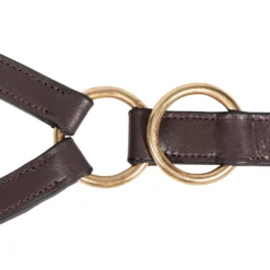 Premier® Premier 10 Ring Training Martingale -Weaver Leather Shop 01442 alt c