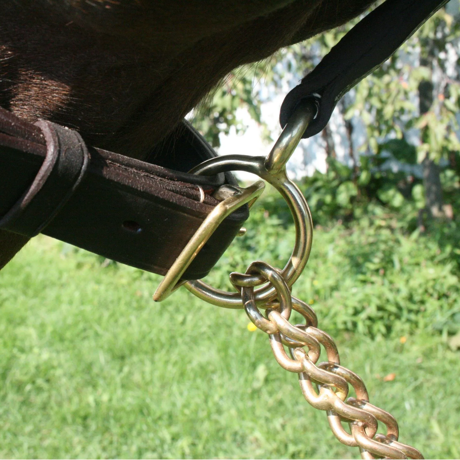 Billy Royal® 6' Leather Lead With Brass Chain 4 Billy Royal® 6' Leather Lead With Brass Chain - Image 4