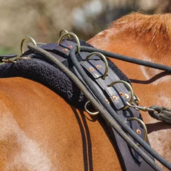 Premier® Premier Multi-Ring Surcingle -Weaver Leather Shop 01725 alt b