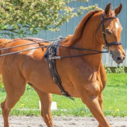 Premier® Premier Multi-Ring Surcingle -Weaver Leather Shop 01725 alt d