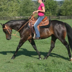 Billy Royal® Harness Leather Pulley Draw Reins -Weaver Leather Shop 01741 alt b