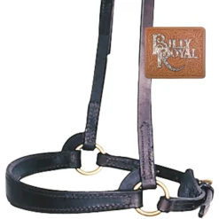 Billy Royal® Flared Nose Training Caveson