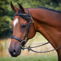 Front Page -Weaver Leather Shop 01746 alt a