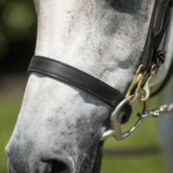 Billy Royal® Straight Nose Training Caveson 10 Billy Royal® Straight Nose Training Caveson -Weaver Leather Shop 01746 alt e