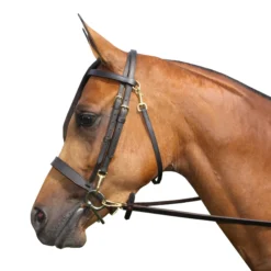 Premier® Premier Straight Nose Training Caveson For Horses 5 Premier® Premier Straight Nose Training Caveson For Horses -Weaver Leather Shop 01748 alt b
