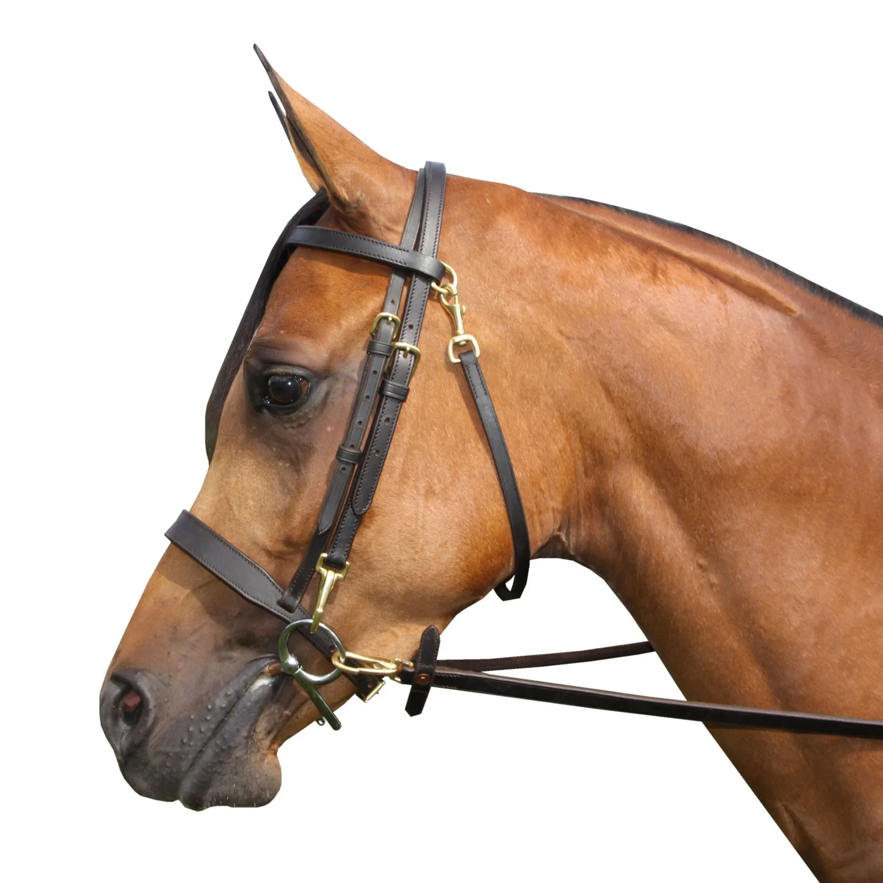 Premier® Premier Straight Nose Training Caveson For Horses 3 Premier® Premier Straight Nose Training Caveson For Horses - Image 3