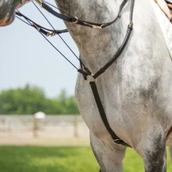 Billy Royal® German Martingale -Weaver Leather Shop 01755 alt b