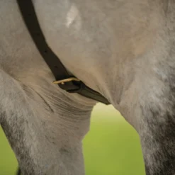 Billy Royal® German Martingale -Weaver Leather Shop 01755 alt c