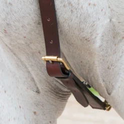 Premier® Premier German Martingale -Weaver Leather Shop 01756 alt c