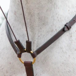 Premier® Premier German Martingale -Weaver Leather Shop 01756 alt d