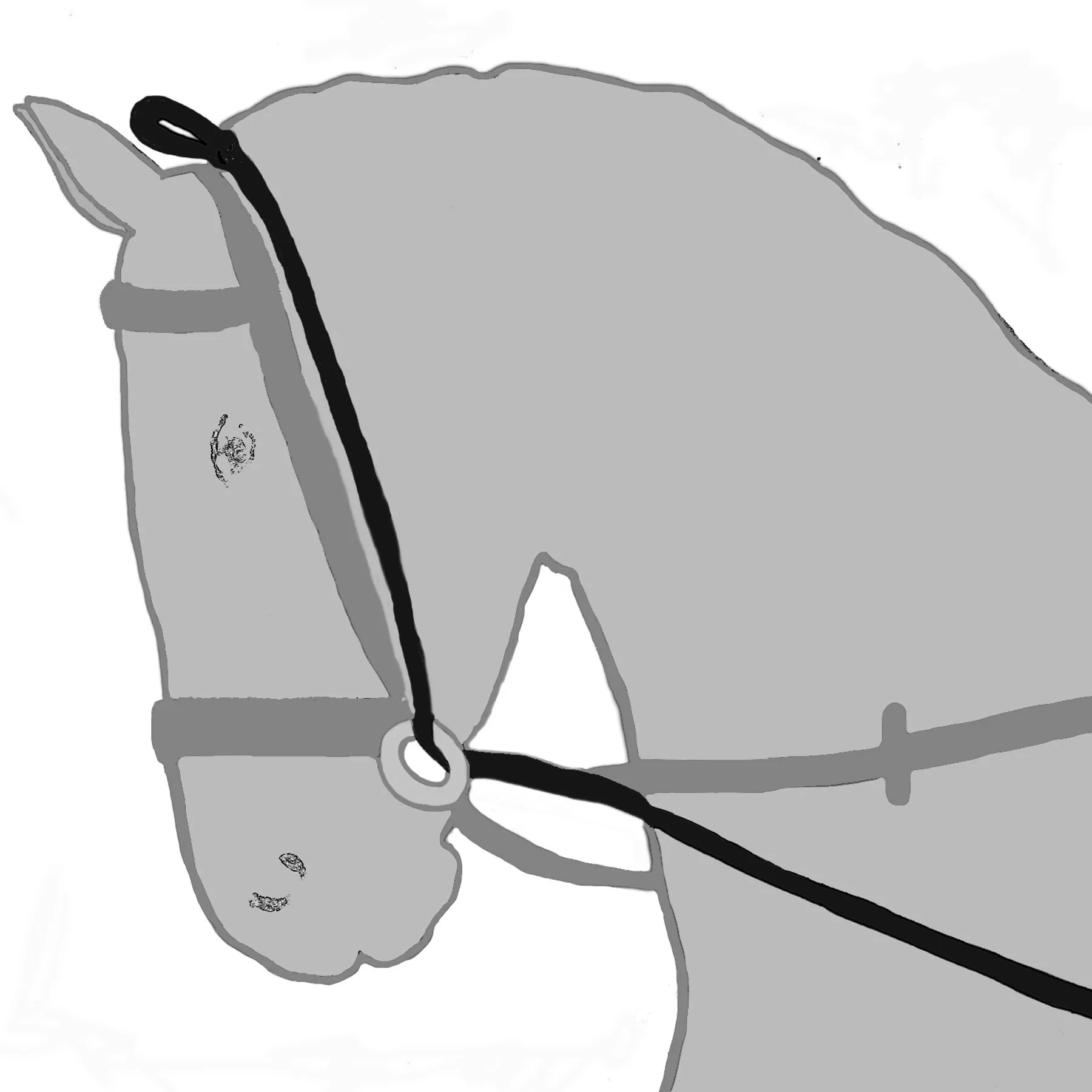 Dura-Tech® Elastic Horse Neck Stretcher 4 Dura-Tech® Elastic Horse Neck Stretcher - Image 4