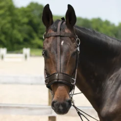 Dura-Tech® Balance Training System - Complete Set -Weaver Leather Shop 01796 alt e