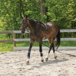 Dura-Tech® Balance Training System - Complete Set -Weaver Leather Shop 01796 alt g