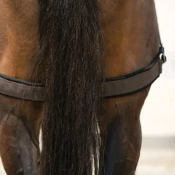 Dura-Tech® Balance Training System - Complete Set -Weaver Leather Shop 01796 alt l