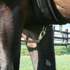 Billy Royal Adjustable Pleasure Martingale -Weaver Leather Shop 01825 alt f