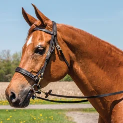 Double S Draw Tight Caveson For Horses -Weaver Leather Shop 01831 alt b