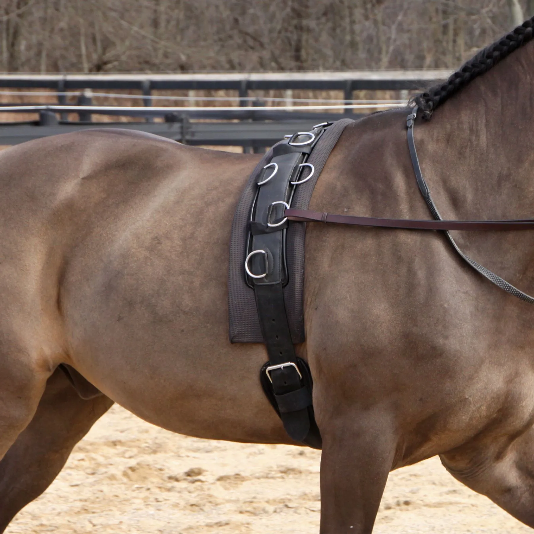 Dura-Tech® Deluxe Neoprene Surcingle 2 Dura-Tech® Deluxe Neoprene Surcingle - Image 2