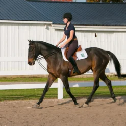 Dura-Tech Sliding Snap Rope Draw Reins For Horses -Weaver Leather Shop 05128 alt b