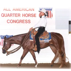 Schneiders® Western Competitor Number Holder -Weaver Leather Shop 05196 alt b