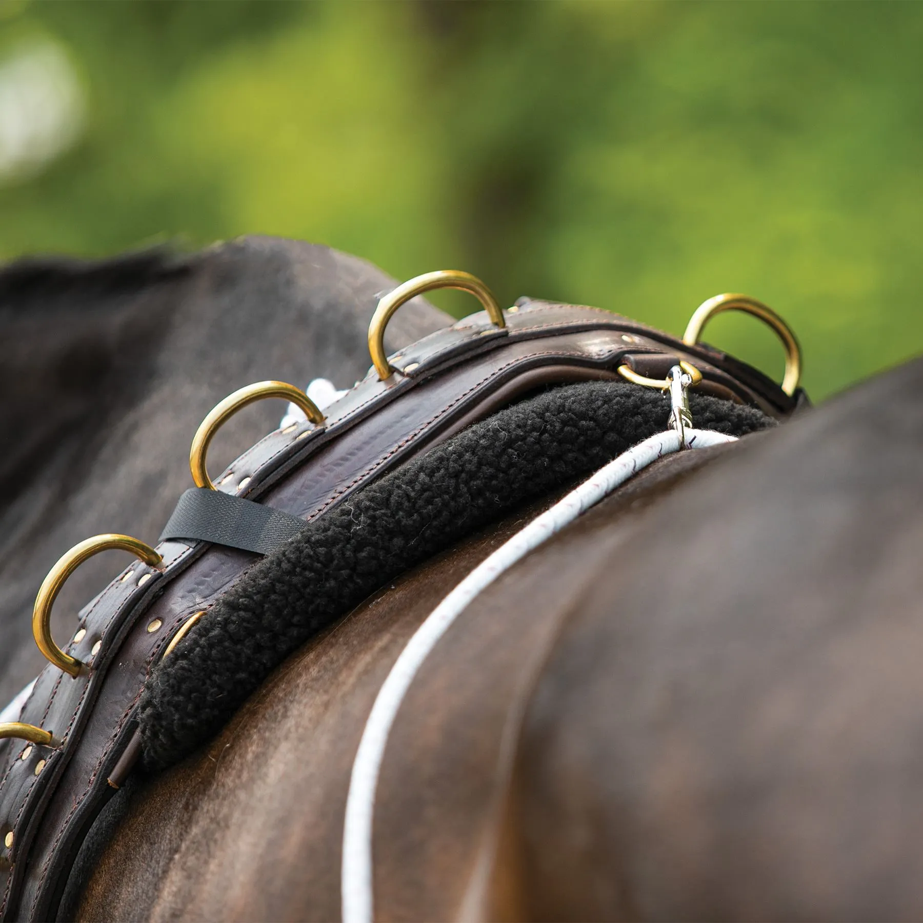 Schneiders Advanced European Training System 2 Schneiders Advanced European Training System - Image 2