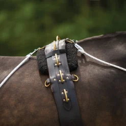 Schneiders Advanced European Training System 20 Schneiders Advanced European Training System -Weaver Leather Shop 06751 alt d