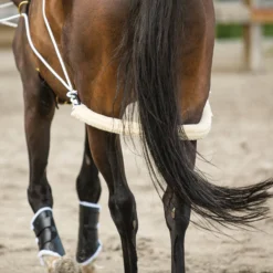 Schneiders Advanced European Training System 23 Schneiders Advanced European Training System -Weaver Leather Shop 06751 alt g