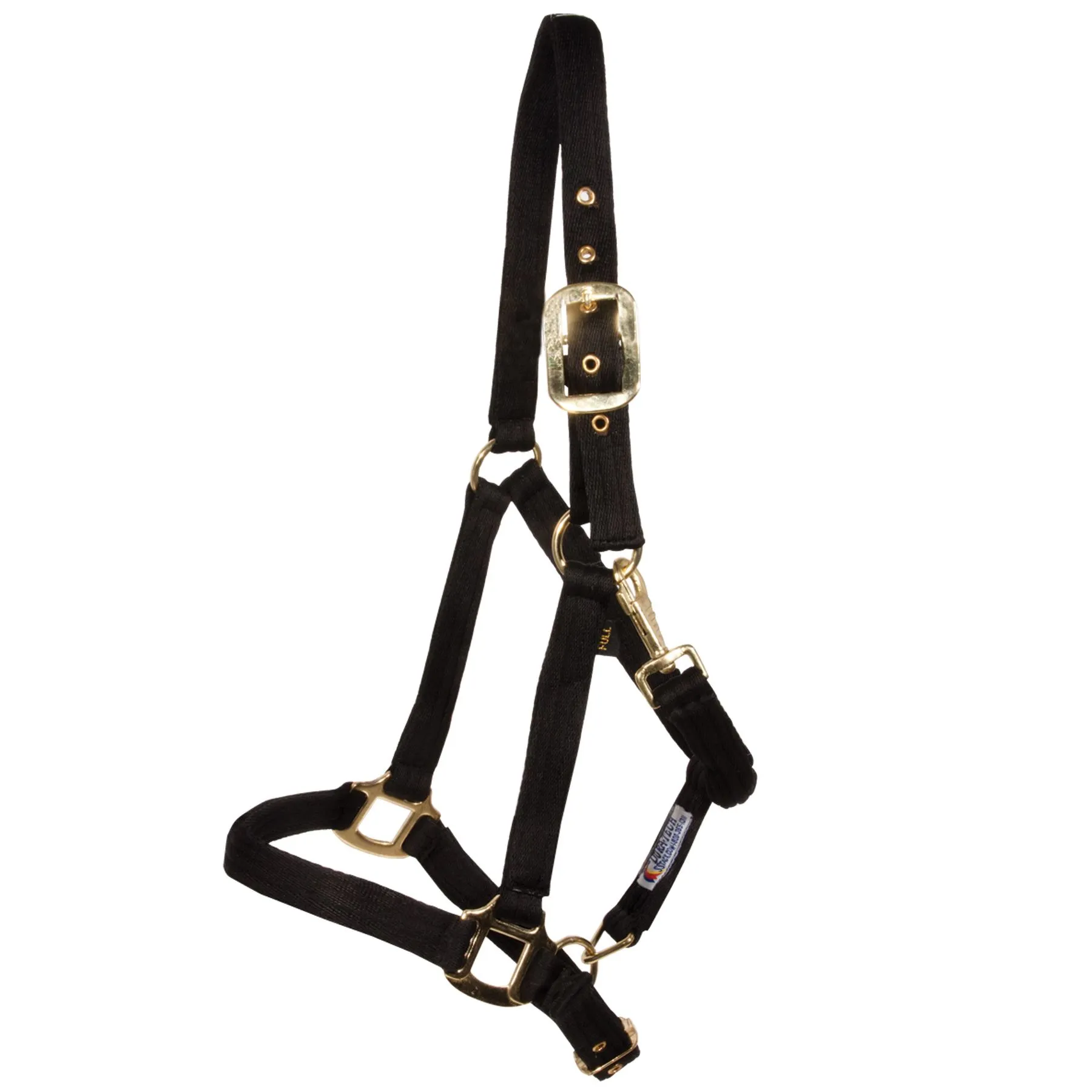 Dura-Tech® Cushion Web Halter 6 Dura-Tech® Cushion Web Halter - Image 6