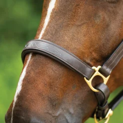 Joseph Sterling® Dorchester Padded Leather Halter -Weaver Leather Shop 10580 alt d