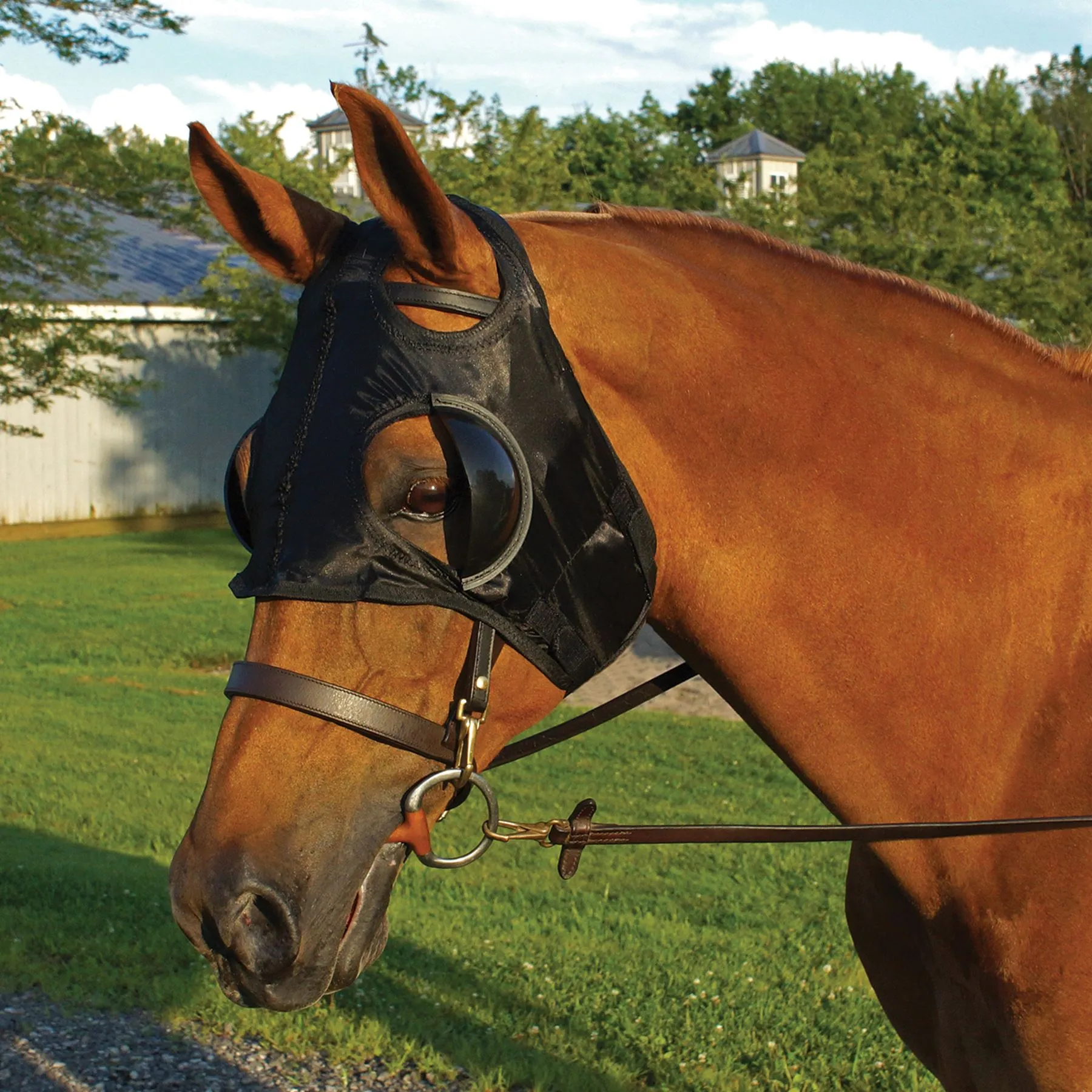 Dura-Tech® Blinker Hood 3 Dura-Tech® Blinker Hood - Image 3