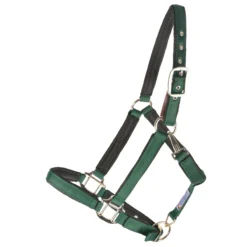 Dura-Tech® Deluxe Fully Padded Nylon Breakaway Halter -Weaver Leather Shop 12081 green