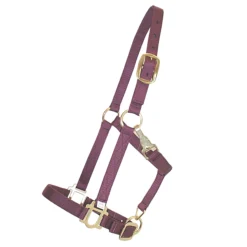 Dura-Tech® 1" Economy Nylon Halter -Weaver Leather Shop 12952 burgundy
