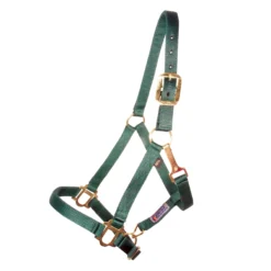 Dura-Tech® 1" Economy Nylon Halter -Weaver Leather Shop 12952 green