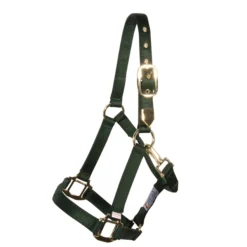 Dura-Tech Supreme Triple Ply Nylon Halter For Horses With Brass Grommets 11 Dura-Tech Supreme Triple Ply Nylon Halter For Horses With Brass Grommets -Weaver Leather Shop 14366 green