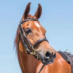 Front Page -Weaver Leather Shop 15450 alt a