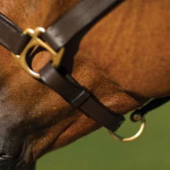 Premier® Premier Dorchester Padded Leather Halter -Weaver Leather Shop 18368 alt d