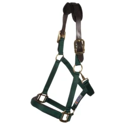 Dura-Tech® Comfort Plus Nylon Breakaway Halter -Weaver Leather Shop 18370 green
