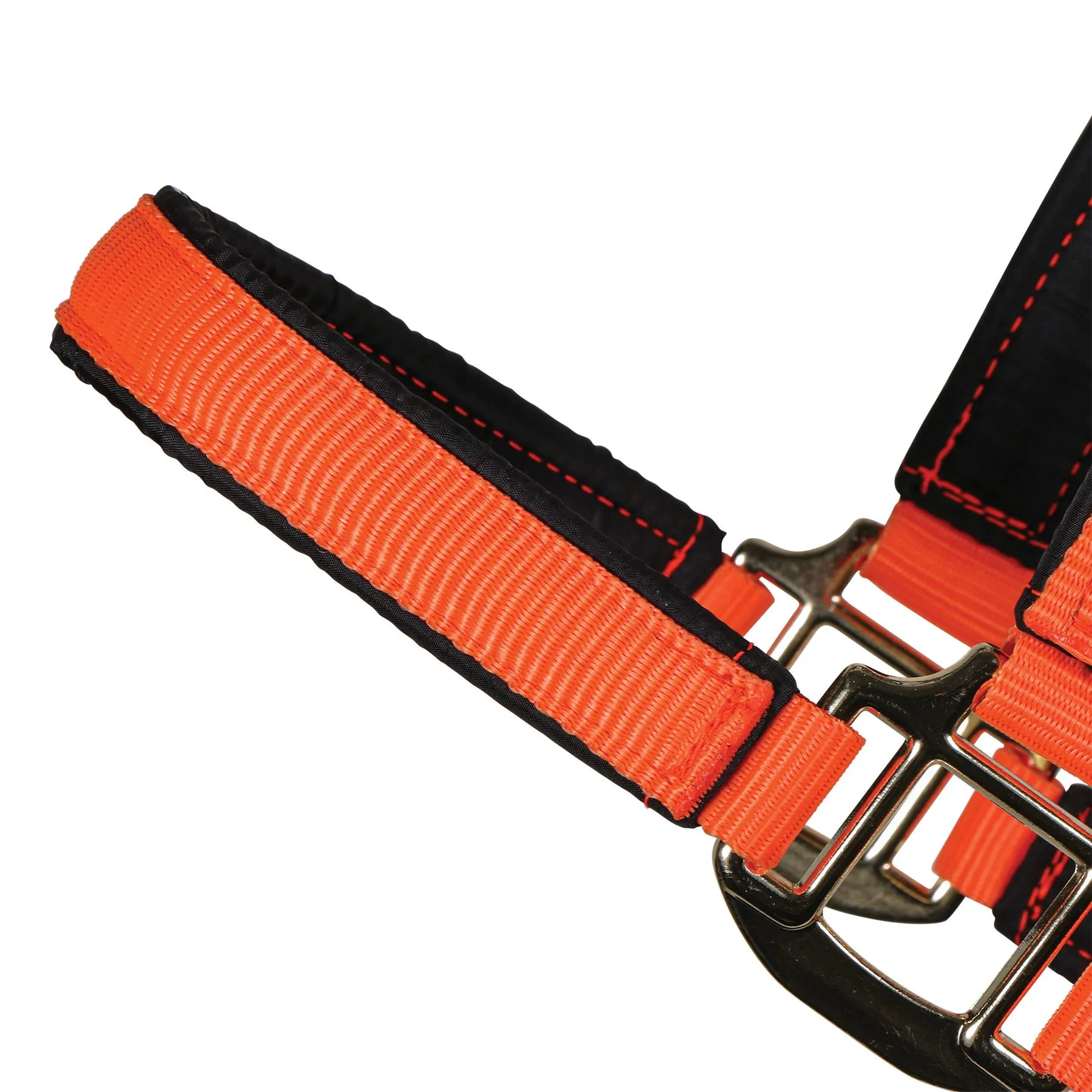 Dura-Tech Deluxe Fully Padded Nylon Halter For Horses 2 Dura-Tech Deluxe Fully Padded Nylon Halter For Horses - Image 2