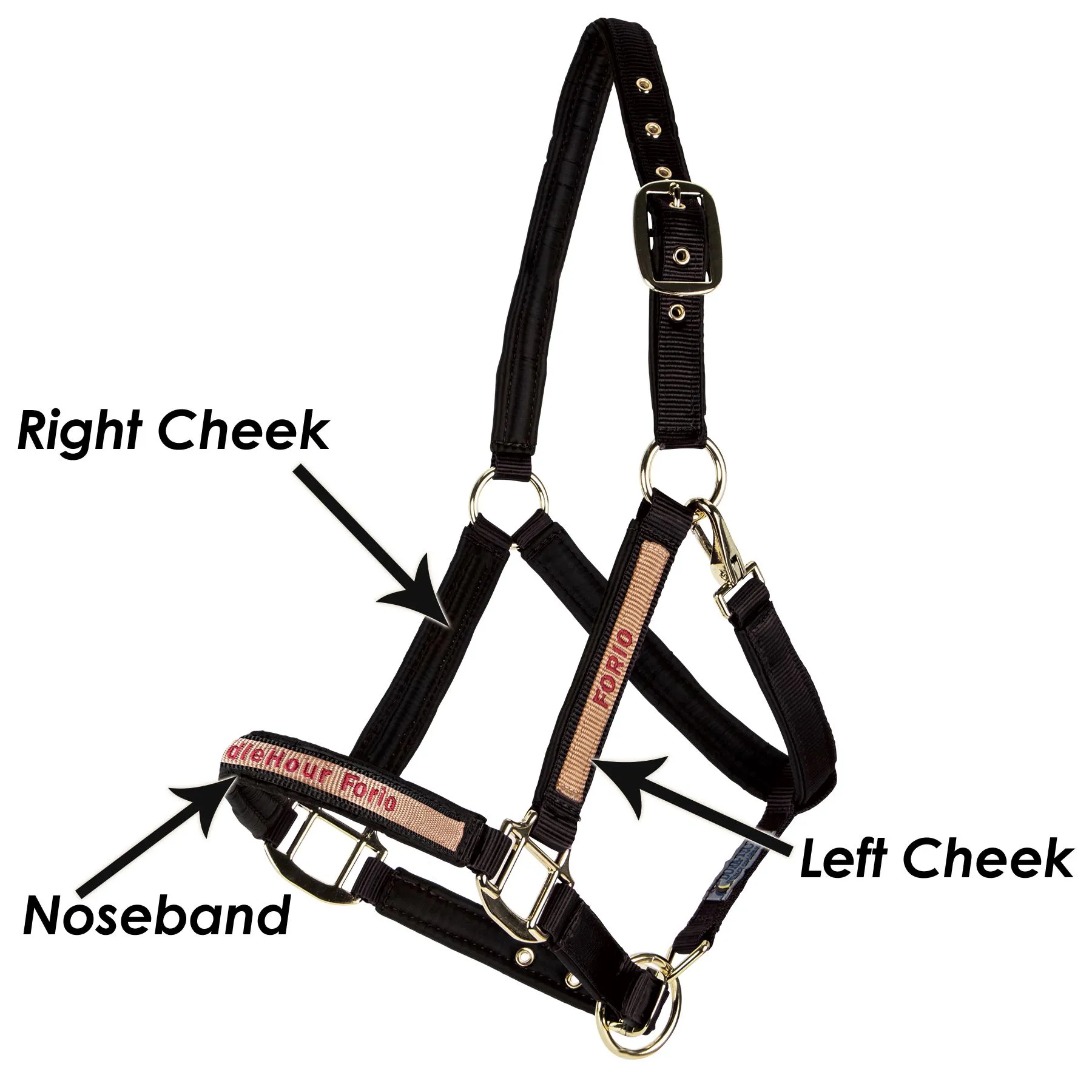 Dura-Tech Deluxe Fully Padded Nylon Halter For Horses 4 Dura-Tech Deluxe Fully Padded Nylon Halter For Horses - Image 4