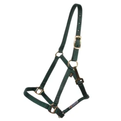 Dura-Tech® 3/4" Economy Nylon Halter 17 Dura-Tech® 3/4" Economy Nylon Halter -Weaver Leather Shop 18542 green
