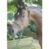Dura-Tech® Rope Halter And Lead