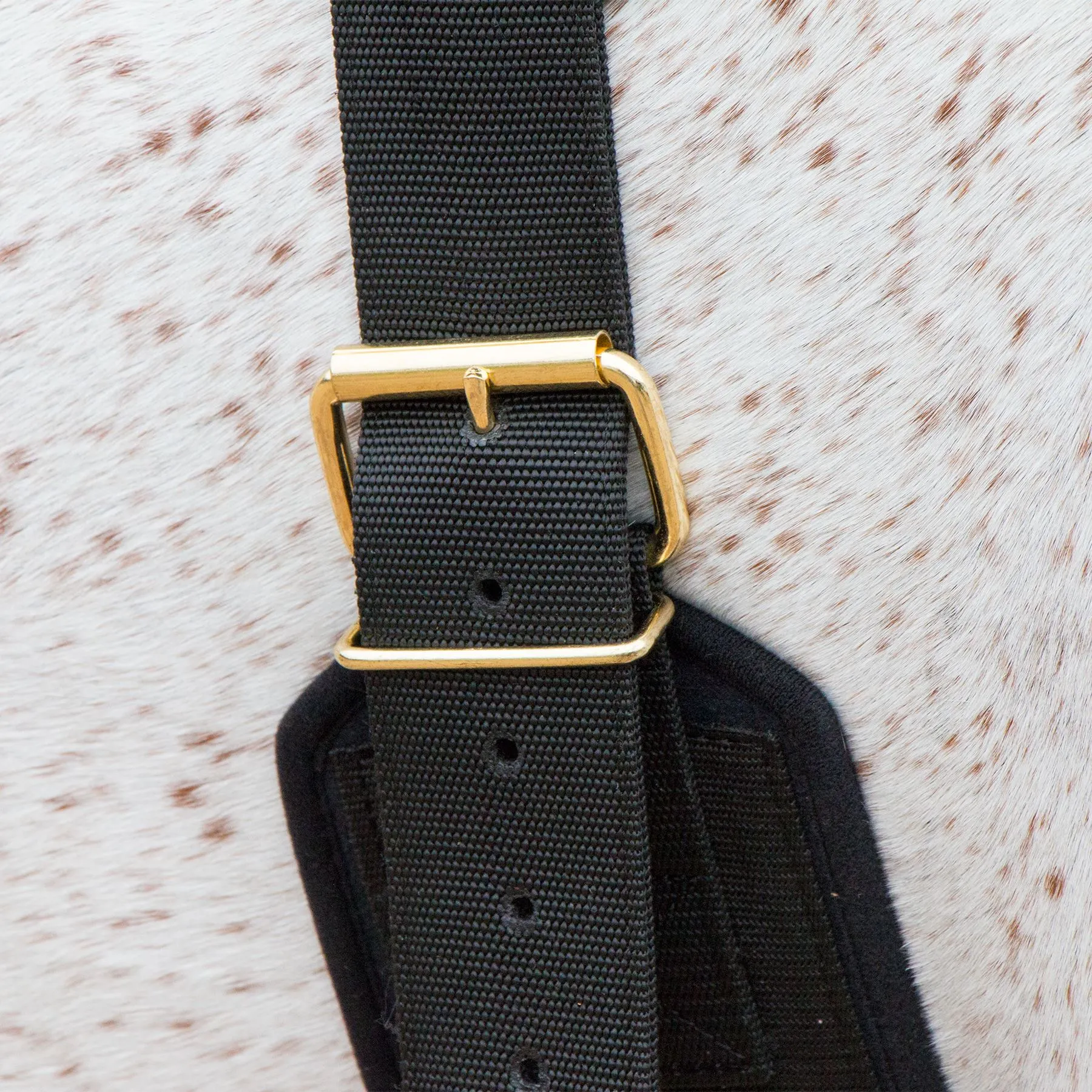 Dura-Tech® Neoprene & Nylon Training Surcingle 3 Dura-Tech® Neoprene & Nylon Training Surcingle - Image 3