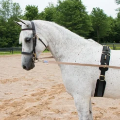 Dura-Tech® Neoprene & Nylon Training Surcingle 9 Dura-Tech® Neoprene & Nylon Training Surcingle -Weaver Leather Shop 20290 alt c