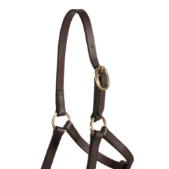 Premier® Premier Leather Foal Halter - Weanling -Weaver Leather Shop 22659 alt b