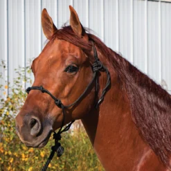 Dura-Tech® Rope Control Halter W/13.5' Lead -Weaver Leather Shop 24836 black