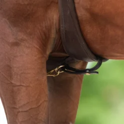 Victor Supreme Bob Hart Arabian Training Martingale -Weaver Leather Shop 25505 alt b