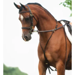 Victor Supreme Bob Hart Arabian Training Martingale -Weaver Leather Shop 25505 alt d
