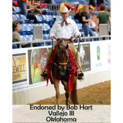 Victor Supreme Bob Hart Arabian Training Martingale -Weaver Leather Shop 25505 prof e overlay