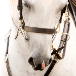 Victor Supreme Gene LaCroix Arabian Training Caveson -Weaver Leather Shop 25509 alt b