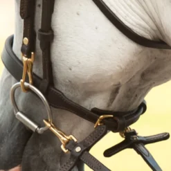 Victor Supreme Gene LaCroix Arabian Training Caveson -Weaver Leather Shop 25509 alt c