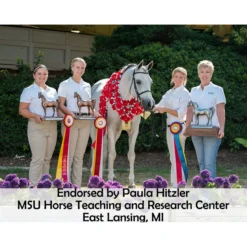 Victor Supreme Gene LaCroix Arabian Training Caveson -Weaver Leather Shop 25509 prof a overlay